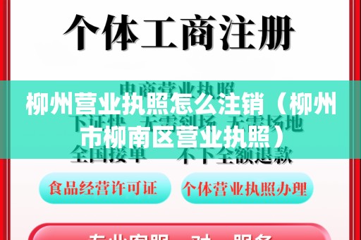 柳州营业执照怎么注销(柳州市柳南区营业执照)