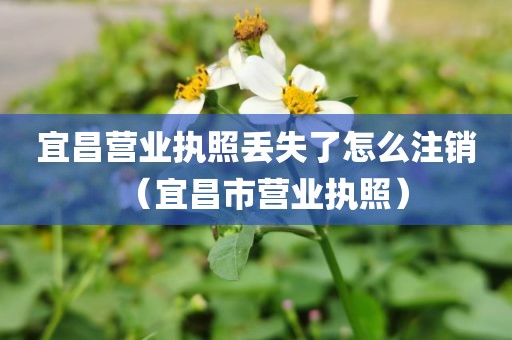 宜昌营业执照丢失了怎么注销(宜昌市营业执照)