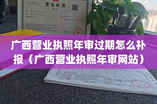 广西营业执照年审过期怎么补报（广西营业执照年审网站）