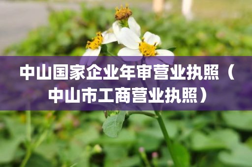 中山国家企业年审营业执照（中山市工商营业执照）