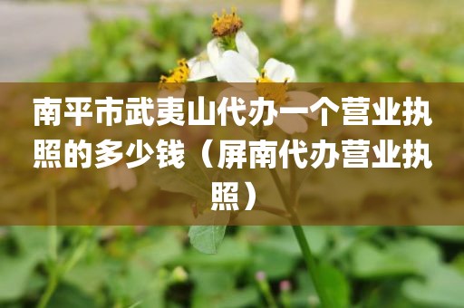 南平市武夷山代办一个营业执照的多少钱（屏南代办营业执照）