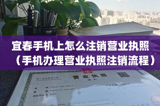宜春手机上怎么注销营业执照（手机办理营业执照注销流程）