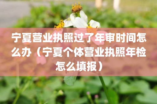 宁夏营业执照过了年审时间怎么办（宁夏个体营业执照年检怎么填报）
