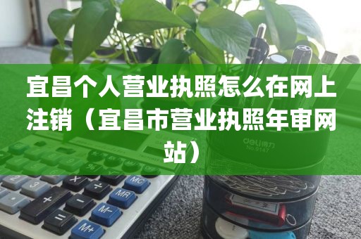 宜昌个人营业执照怎么在网上注销（宜昌市营业执照年审网站）
