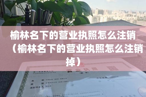 榆林名下的营业执照怎么注销（榆林名下的营业执照怎么注销掉）
