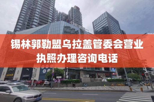 锡林郭勒盟乌拉盖管委会营业执照办理咨询电话