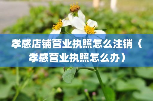 孝感店铺营业执照怎么注销(孝感营业执照怎么办)