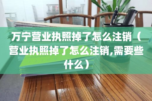 万宁营业执照掉了怎么注销（营业执照掉了怎么注销,需要些什么）