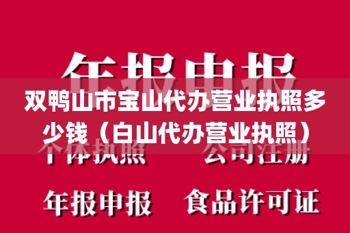 双鸭山市宝山代办营业执照多少钱（白山代办营业执照）