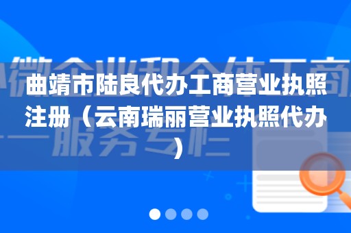 曲靖市陆良代办工商营业执照注册（云南瑞丽营业执照代办）
