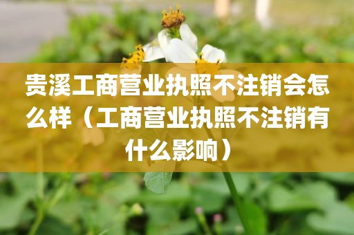 贵溪工商营业执照不注销会怎么样（工商营业执照不注销有什么影响）