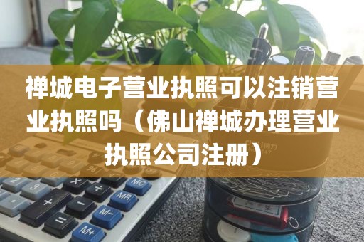 禅城电子营业执照可以注销营业执照吗（佛山禅城办理营业执照公司注册）