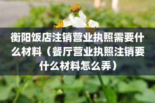 衡阳饭店注销营业执照需要什么材料(餐厅营业执照注销要什么材料怎么弄)