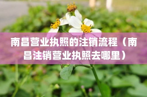 南昌营业执照的注销流程（南昌注销营业执照去哪里）