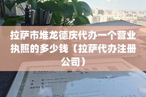 拉萨市堆龙德庆代办一个营业执照的多少钱（拉萨代办注册公司）