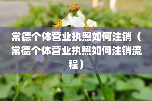 常德个体营业执照如何注销(常德个体营业执照如何注销流程)