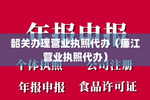 韶关办理营业执照代办（廉江营业执照代办）