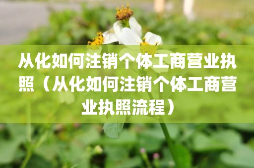 从化如何注销个体工商营业执照（从化如何注销个体工商营业执照流程）