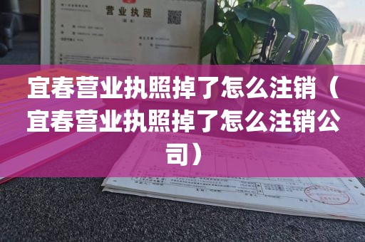 宜春营业执照掉了怎么注销（宜春营业执照掉了怎么注销公司）