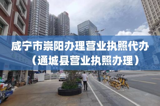 咸宁市崇阳办理营业执照代办(通城县营业执照办理)