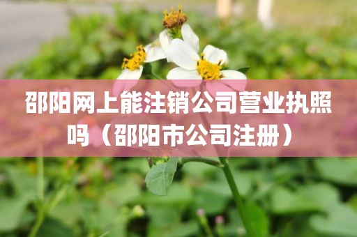邵阳网上能注销公司营业执照吗（邵阳市公司注册）
