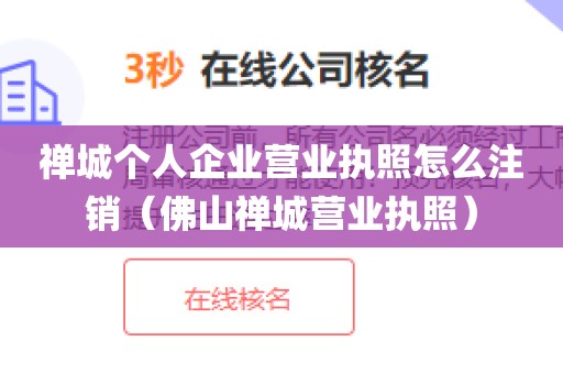 禅城个人企业营业执照怎么注销（佛山禅城营业执照）