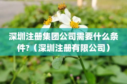 深圳注册集团公司需要什么条件?(深圳注册有限公司)