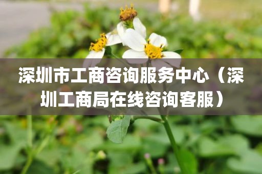 深圳市工商咨询服务中心(深圳工商局在线咨询客服)