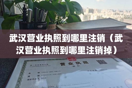 武汉营业执照到哪里注销（武汉营业执照到哪里注销掉）