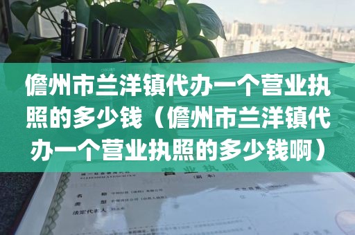 儋州市兰洋镇代办一个营业执照的多少钱（儋州市兰洋镇代办一个营业执照的多少钱啊）