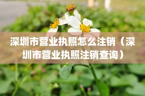 深圳市营业执照怎么注销（深圳市营业执照注销查询）