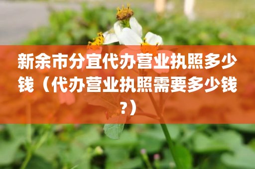 新余市分宜代办营业执照多少钱（代办营业执照需要多少钱?）
