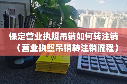 保定营业执照吊销如何转注销（营业执照吊销转注销流程）