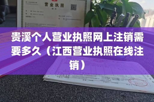 贵溪个人营业执照网上注销需要多久（江西营业执照在线注销）