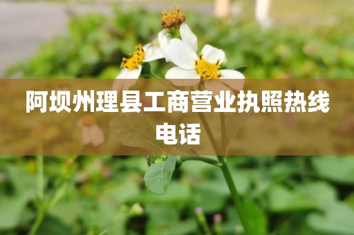 阿坝州理县工商营业执照热线电话