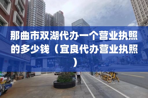 那曲市双湖代办一个营业执照的多少钱（宜良代办营业执照）