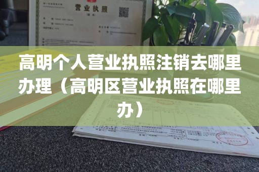 高明个人营业执照注销去哪里办理（高明区营业执照在哪里办）
