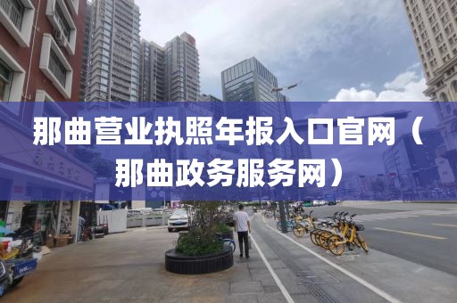 那曲营业执照年报入口官网（那曲政务服务网）
