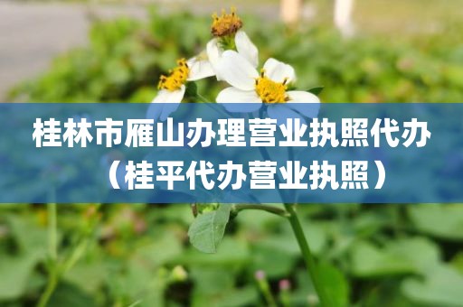 桂林市雁山办理营业执照代办（桂平代办营业执照）