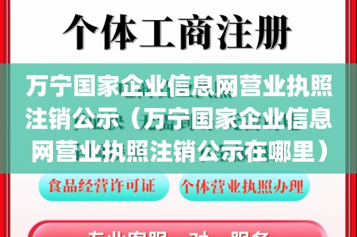 万宁国家企业信息网营业执照注销公示(万宁国家企业信息网营业执照注销公示在哪里)