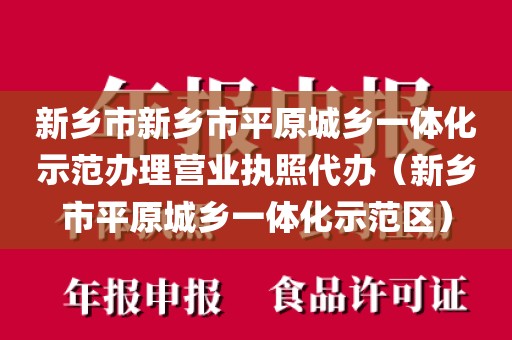新乡市新乡市平原城乡一体化示范办理营业执照代办（新乡市平原城乡一体化示范区）