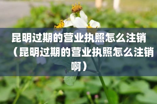昆明过期的营业执照怎么注销(昆明过期的营业执照怎么注销啊)