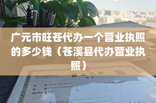 广元市旺苍代办一个营业执照的多少钱（苍溪县代办营业执照）