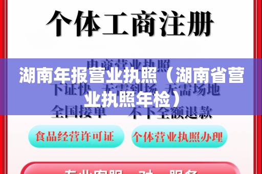 湖南年报营业执照（湖南省营业执照年检）