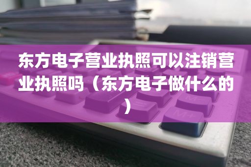 东方电子营业执照可以注销营业执照吗（东方电子做什么的）