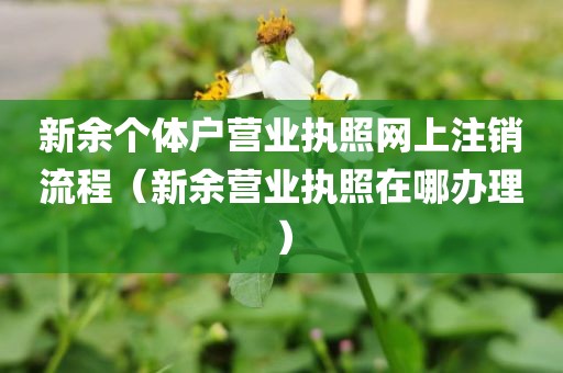 新余个体户营业执照网上注销流程（新余营业执照在哪办理）