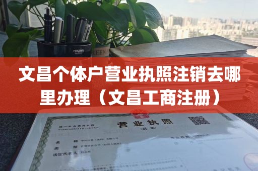 文昌个体户营业执照注销去哪里办理(文昌工商注册)