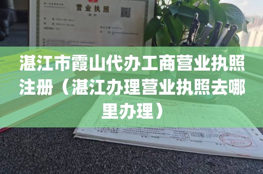 湛江市霞山代办工商营业执照注册（湛江办理营业执照去哪里办理）