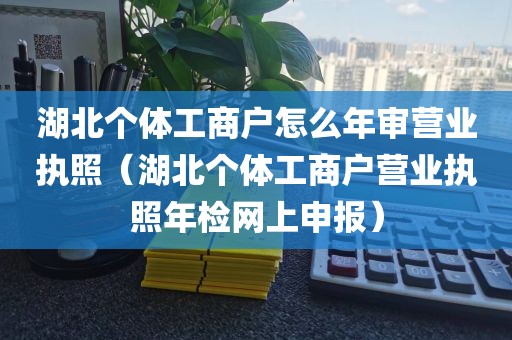 湖北个体工商户怎么年审营业执照（湖北个体工商户营业执照年检网上申报）