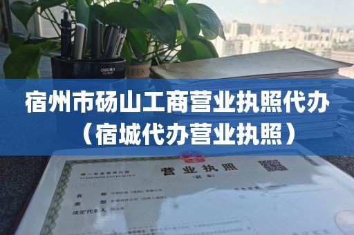 宿州市砀山工商营业执照代办（宿城代办营业执照）